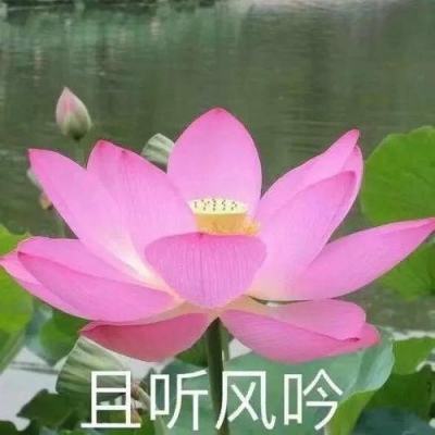 深圳建成“10分钟居家社区养老服务圈”<br>